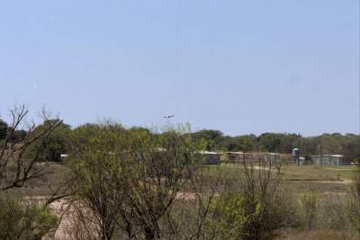 TEXAS EAGLE SOARING2.JPG